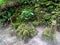 Stone sculptures of different shapes in an ancient megalithic settlement on Lake Toba, Pulau Samosir. Indonesia