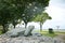 Stone sculptures of Tortoises on Kusu Island with the beach and CBD skyline in the distance