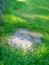 Stone sewer manhole next to the grass. Entrance to underground communications