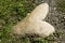 Stone in shape of a heart in ground