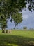 Stone shed