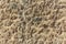 Stone, shell rock texture background. Texture of shell rock limestone for background