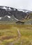 Stone shelter in heart of norwegian mountain