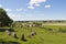 Stone ships in landscape