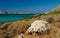 Stone on the shore of a picturesque lagoon