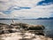 Stone shore and tree trunk, Hvar island, Croatia