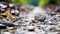 a stone is sitting on the ground in the middle of a gravel road