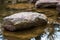 Stone sitting in a reflecting pond