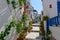 Stone slated alley with limewashed houses