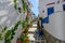 Stone slated alley with limewashed houses