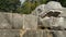 Stone snake head in the Yucatan