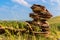 Stone stack with balanced stone