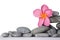 Stone Stack and Frangipani Flower