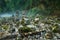 Stone stacks in Vintgar gorge and Radovna river near Bled, Slovenia