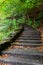 Stone stair in forest in Buttermilk Falls State Park