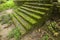 Stone stair moss in green forest