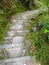 Stone stair with mossy rock