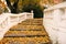 Stone staircase with colorful fallen leaves