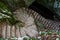 A stone staircase covered with autumn leaves that descends like a snake into a cave