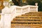 Stone staircase with fallen leaves autumn