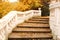 Stone staircase with fallen leaves autumn season