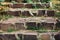 Stone staircase overgrown with grass and moss