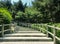 Stone staircase among pine trees. Changchungdan Park in downtown of Seoul during the spring season.