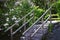 Stone staircase with wooden handrail