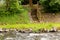 Stone stairs above the river. Descent into the water. Wooden balustrades.