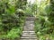 stone stairs climbing into the forest