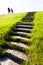 Stone stairs in grass