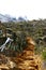 Stone stairs of kinabalu trekking trail