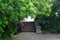 Stone Stairs with Overhanging Trees