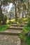 Stone stairs surrounded by huge green tree and grass at a public park in spring time, Buyukada Island Princes island, Istanbul