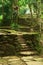 Stone Stairs and Terraces in Ciudad Perdida, Colom