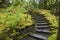 Stone stairway in a garden