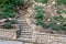 Stone stairway with green bushes