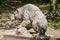 Stone statue of a brown bear in a park on a sunny day