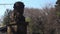 Stone statue guardian dog at Hikawa shrine in Tokyo