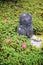 Stone statue of Jizo on ground covered by green star moss and red maple leaves during autumn in a garden at Enkoji temple in Kyoto