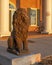 Stone statue of a sitting lion in front of the Sigma Alpha Epsilon Fraternity House on the campus of the University of Arkansas.