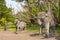 Stone statues of horse, elephant and man in Minh Mang Tomb, Hue, Vietnam