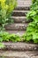 Stone steps ascending