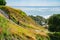 Stone steps down track up Mount Maunganui with view beyond to Pacific Ocean