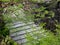 Stone steps leading to Kochi castle