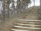 Stone steps Leading to a Pine hill in the resort Park Kislovodsk.