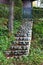 Stone steps leading towards wood picket yard fence doors