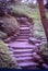 Stone steps leading up or down on slope of Japanese hill