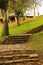 Stone steps in the lush garden