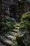 Stone steps with moss lead up to a stone arch in the shade